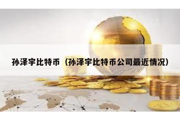 孙泽宇比特币（孙泽宇比特币公司最近情况）