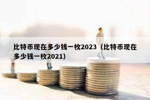 比特币现在多少钱一枚2023（比特币现在多少钱一枚2021）