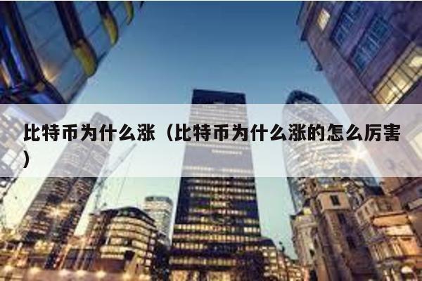 比特币为什么涨（比特币为什么涨的怎么厉害）