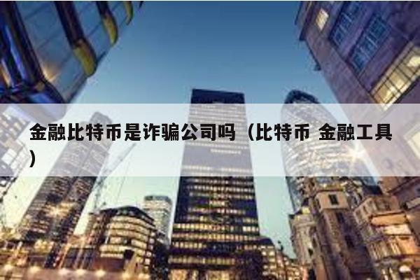 金融比特币是诈骗公司吗（比特币 金融工具）