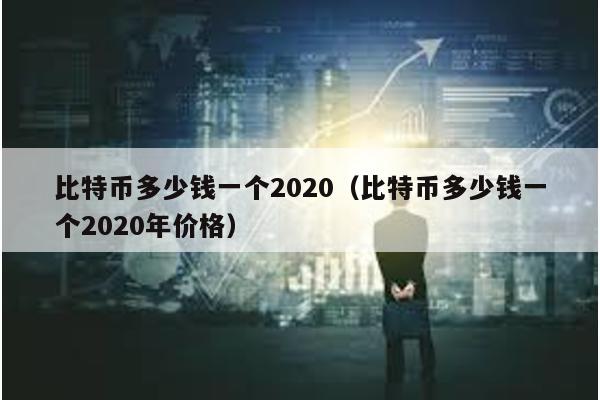 比特币多少钱一个2020（比特币多少钱一个2020年价格）