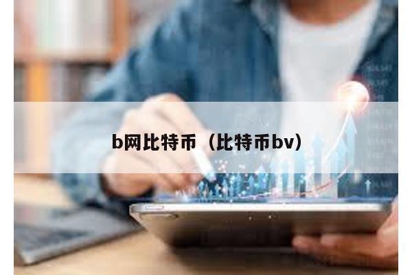 b网比特币（比特币bv）