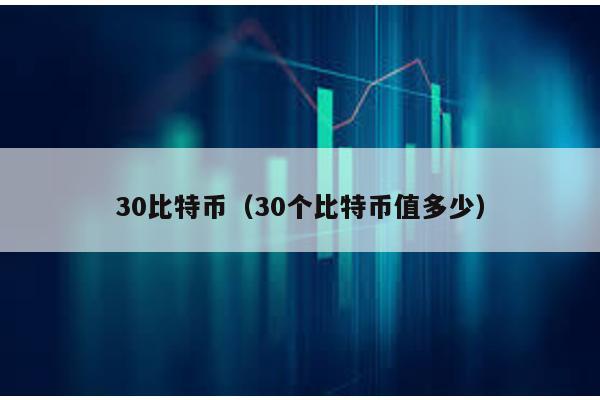 30比特币（30个比特币值多少）