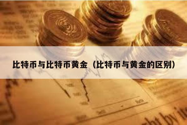 比特币与比特币黄金（比特币与黄金的区别）