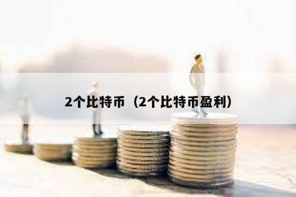 2个比特币（2个比特币盈利）