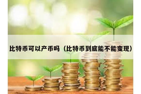 比特币可以产币吗（比特币到底能不能变现）