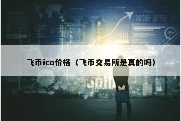 飞币ico价格（飞币交易所是真的吗）