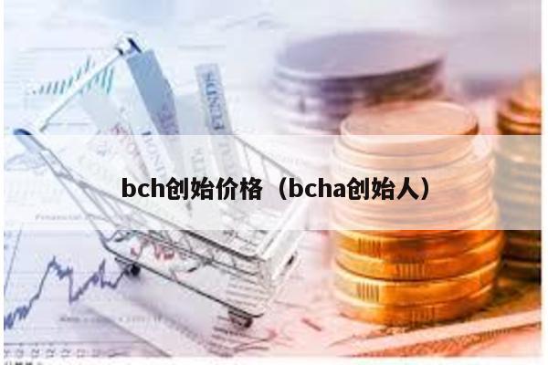 bch创始价格（bcha创始人）