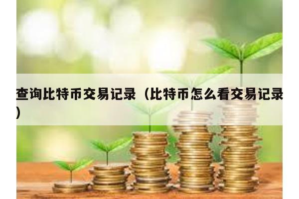 查询比特币交易记录（比特币怎么看交易记录）