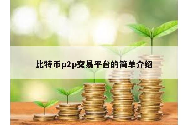 比特币p2p交易平台的简单介绍