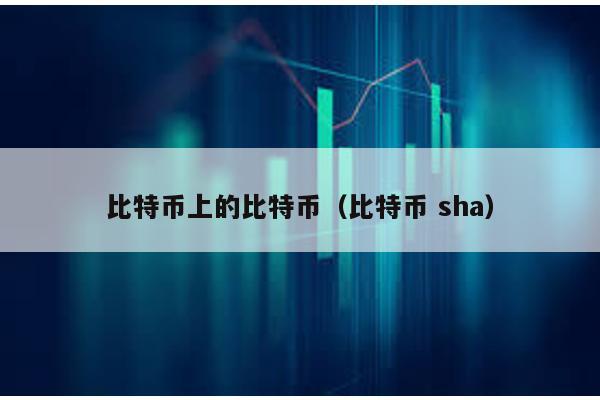 比特币上的比特币（比特币 sha）