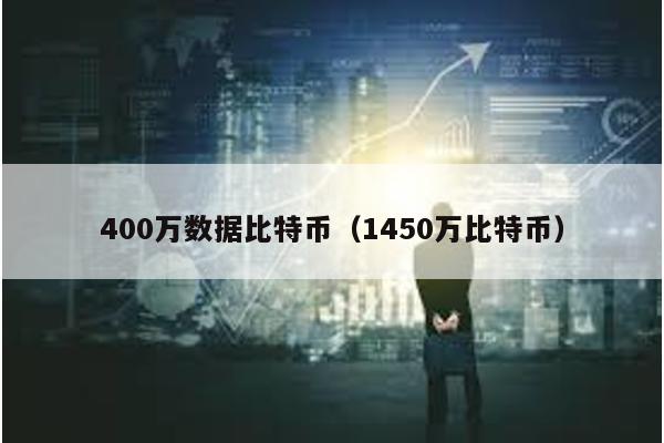 400万数据比特币（1450万比特币）