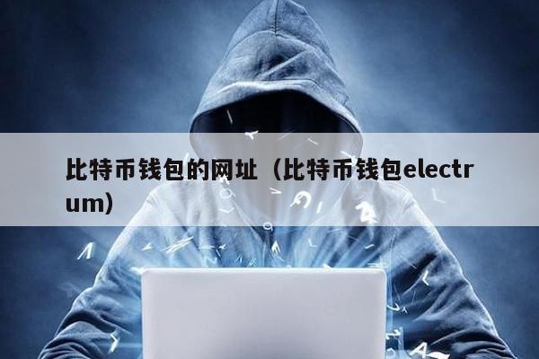 比特币钱包的网址（比特币钱包electrum）