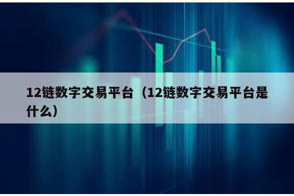 12链数字交易平台（12链数字交易平台是什么）