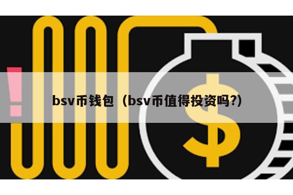 bsv币钱包（bsv币值得投资吗?）