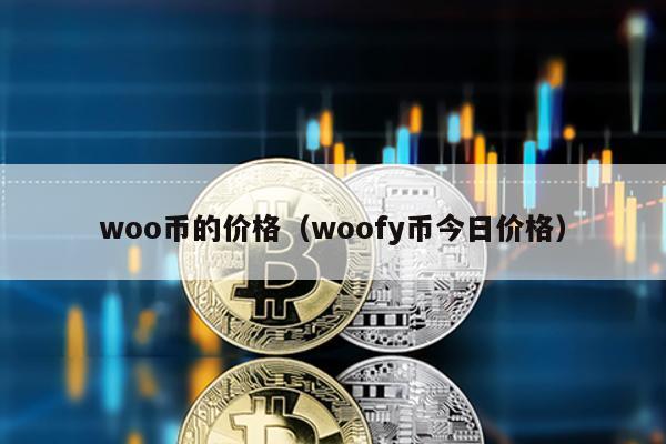 woo币的价格（woofy币今日价格）