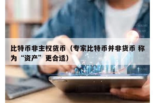 比特币非主权货币（专家比特币并非货币 称为“资产”更合适）