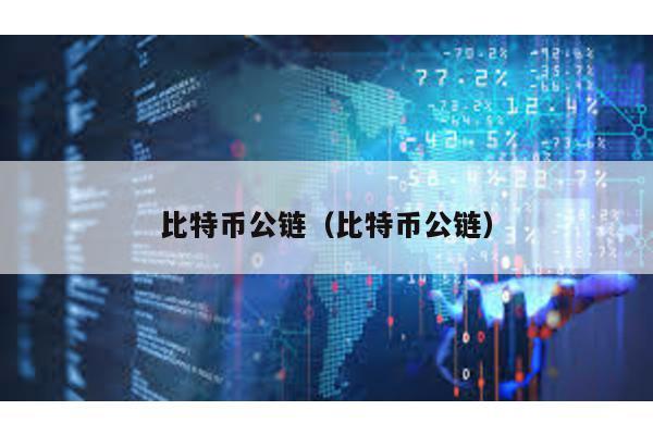 比特币公链（比特币公链）