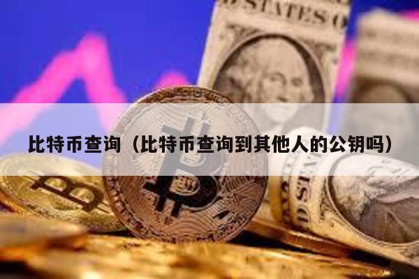 比特币查询（比特币查询到其他人的公钥吗）