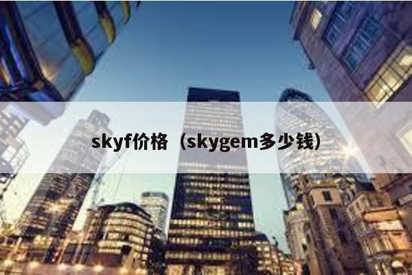 skyf价格（skygem多少钱）