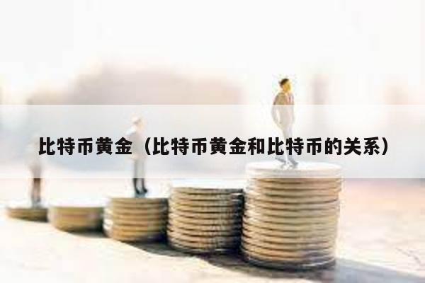 比特币黄金（比特币黄金和比特币的关系）