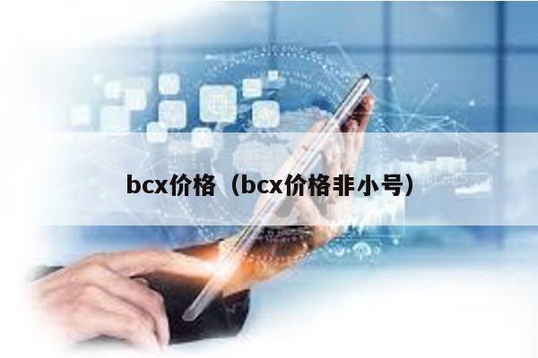 bcx价格（bcx价格非小号）