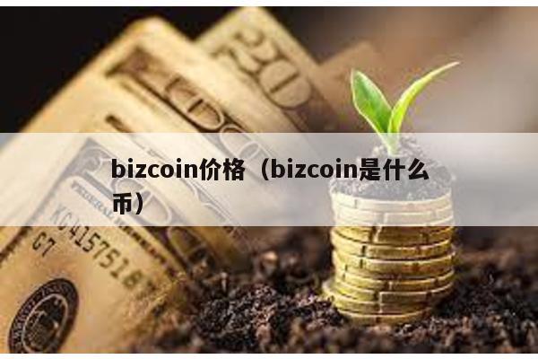 bizcoin价格（bizcoin是什么币）