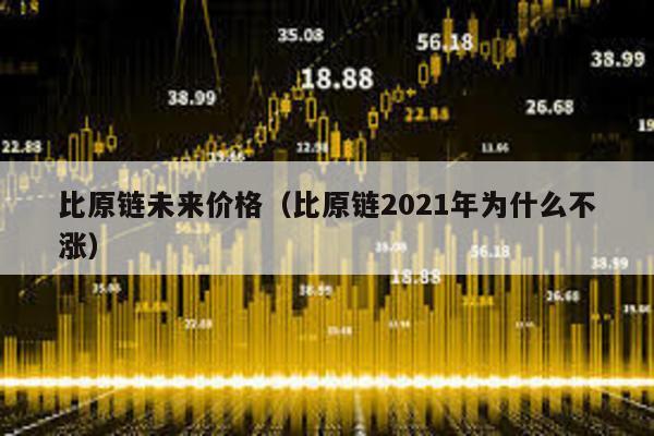 比原链未来价格（比原链2021年为什么不涨）